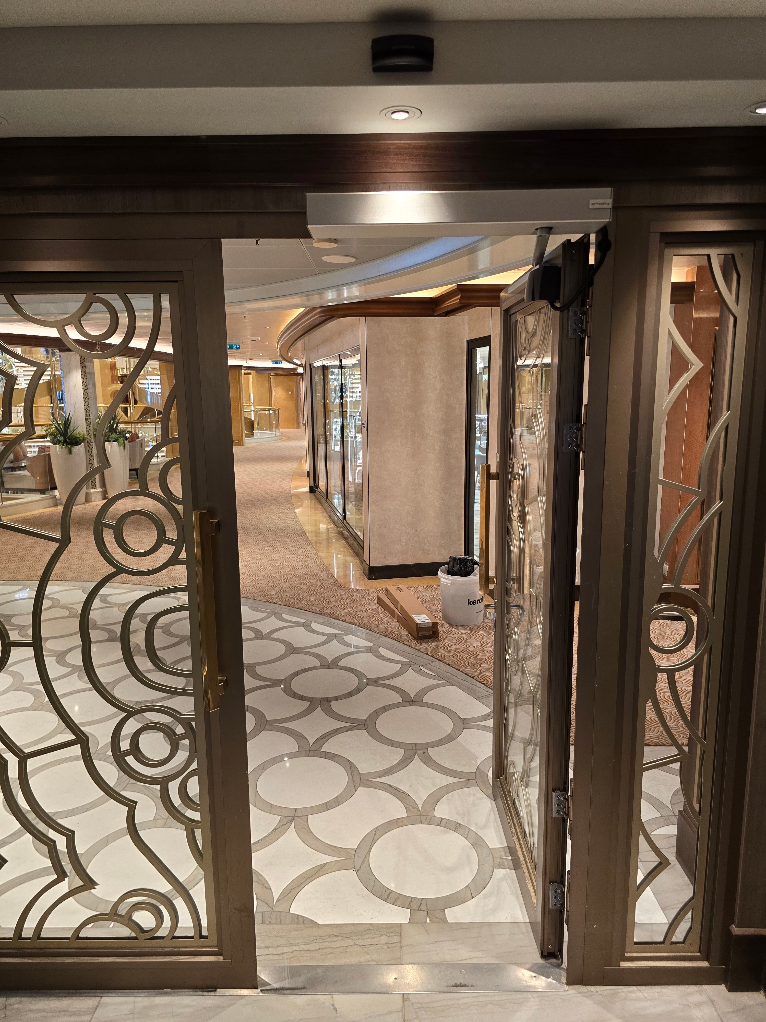Discovery Princess ADA Doors